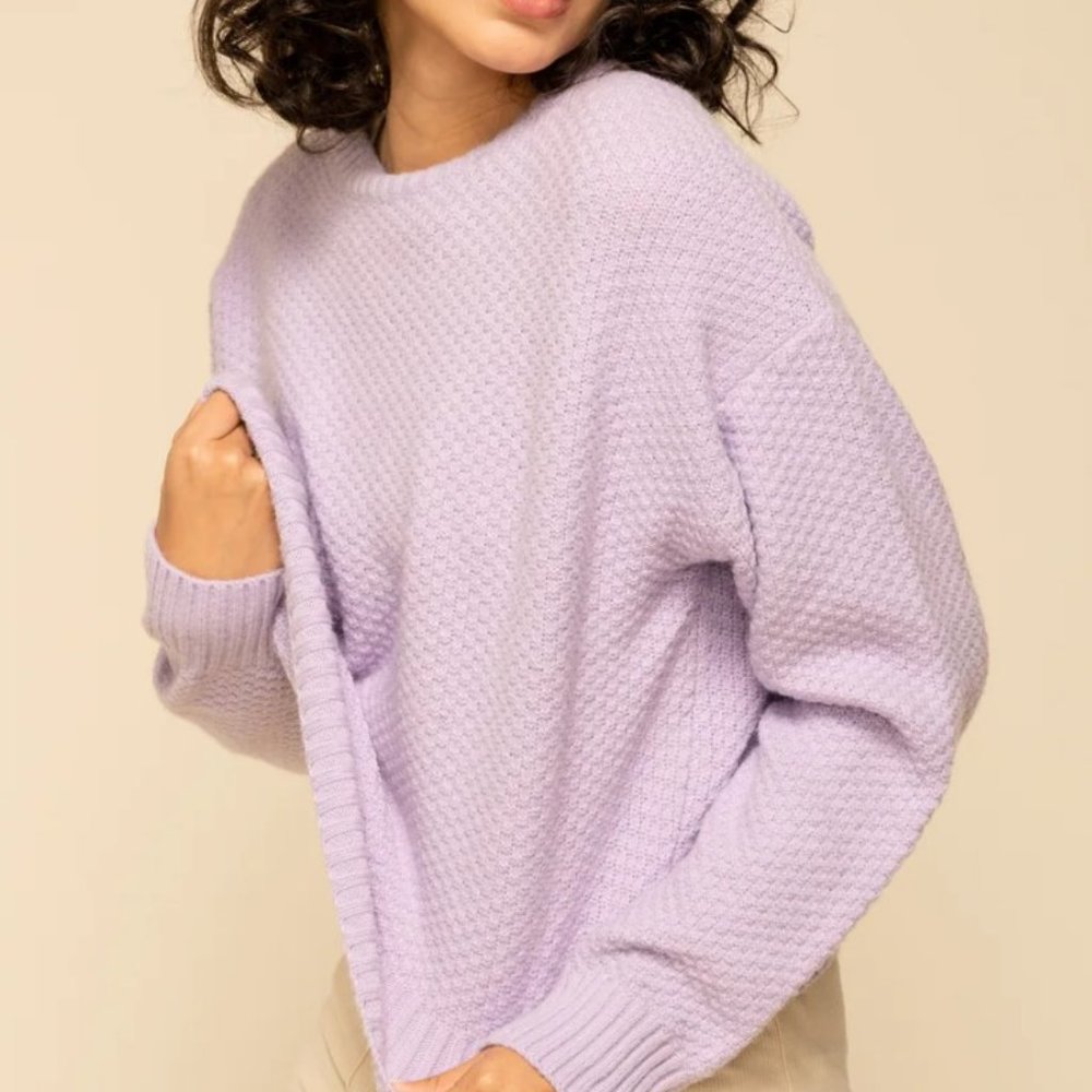 NWT Sophie Rue Jacqueline Crew Sweater - Size Medium